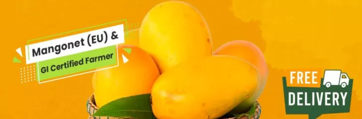 fresh alphonso mango online shopping