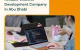 web app development company